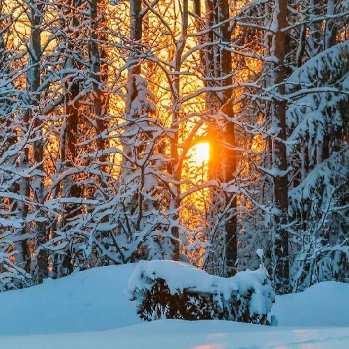 علیها آخه چقده دوست داشتمت